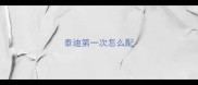 泰迪第一次怎么配