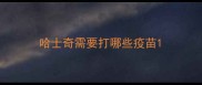 哈士奇需要打哪些疫苗