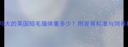 四个月大的英国短毛猫体重多少附发育标准与饲养指南