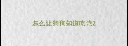 怎么让狗狗知道吃饱