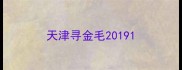 天津寻金毛2019