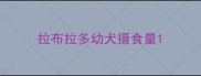 拉布拉多幼犬摄食量