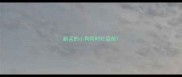 新买的小狗何时打疫苗