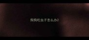 狗狗吃虫子怎么办