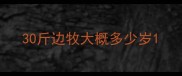 30斤边牧大概多少岁