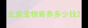 北京宠物寄养多少钱