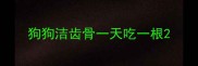 狗狗洁齿骨一天吃一根
