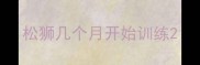 松狮几个月开始训练