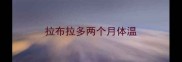 拉布拉多两个月体温