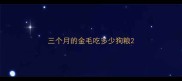 三个月的金毛吃多少狗粮