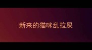 新来的猫咪乱拉屎
