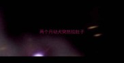 两个月幼犬突然拉肚子