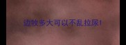 边牧多大可以不乱拉尿