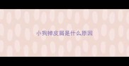 小狗掉皮屑是什么原因