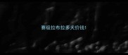 赛级拉布拉多犬价钱