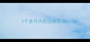2个多月大的边牧洗澡
