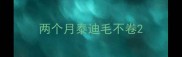 两个月泰迪毛不卷
