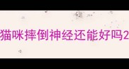 猫咪摔倒神经还能好吗