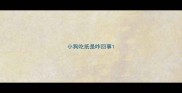 小狗吃纸是咋回事