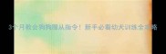 3个月教会狗狗服从指令新手必看幼犬训练全攻略