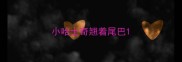 小哈士奇翘着尾巴