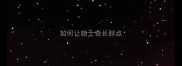 如何让哈士奇长胖点