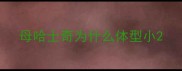 母哈士奇为什么体型小