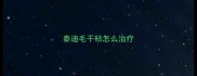 泰迪毛干枯怎么治疗