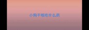 小狗干咳吃什么药