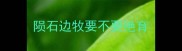 陨石边牧要不要绝育
