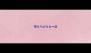 德牧与边牧在一起