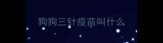 狗狗三针疫苗叫什么