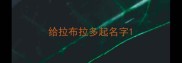 给拉布拉多起名字