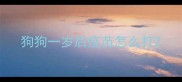 狗狗一岁后疫苗怎么打