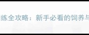 哈士奇法斗训练全攻略新手必看的饲养与训练指南