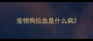 宠物狗拉血是什么病