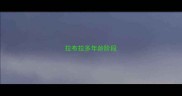 拉布拉多年龄阶段