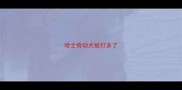 哈士奇幼犬被打多了