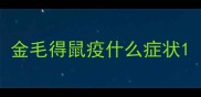 金毛得鼠疫什么症状