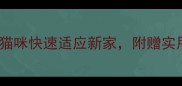 新手必看5个步骤让猫咪快速适应新家附赠实用安抚指南附视频