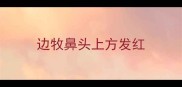 边牧鼻头上方发红