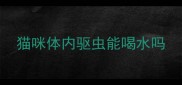猫咪体内驱虫能喝水吗