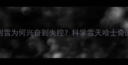 哈士奇见到雪为何兴奋到失控科学雪天哈士奇的疯狂行为