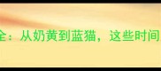 暹罗猫颜色变化全从奶黄到蓝猫这些时间点你记住了吗