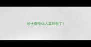 哈士奇吃仙人掌脸肿了