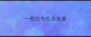 一般拉布拉多多重