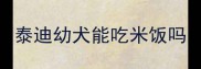 泰迪幼犬能吃米饭吗