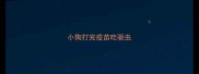 小狗打完疫苗吃驱虫
