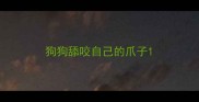 狗狗舔咬自己的爪子