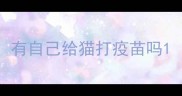 有自己给猫打疫苗吗